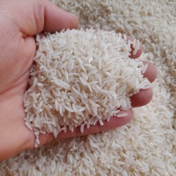 برنج شیرودی گیلان (تالش)  امساله با بسته بندی 10 کیلویی 
