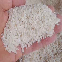 برنج مرغوب خزر محصول تازه با پخت عالی با بسته بندی 5 کیلویی ارسال رایگان