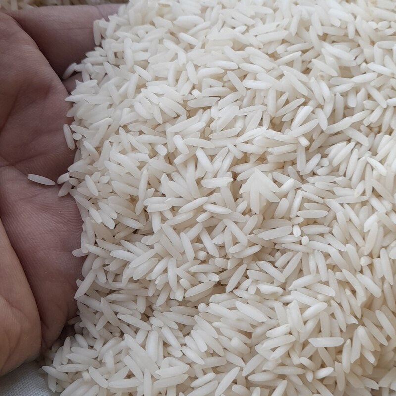 برنج شیرودی درجه یک 10 کیلوگرم