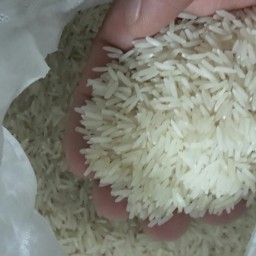 برنج طارم هاشمی محلی  درجه یک