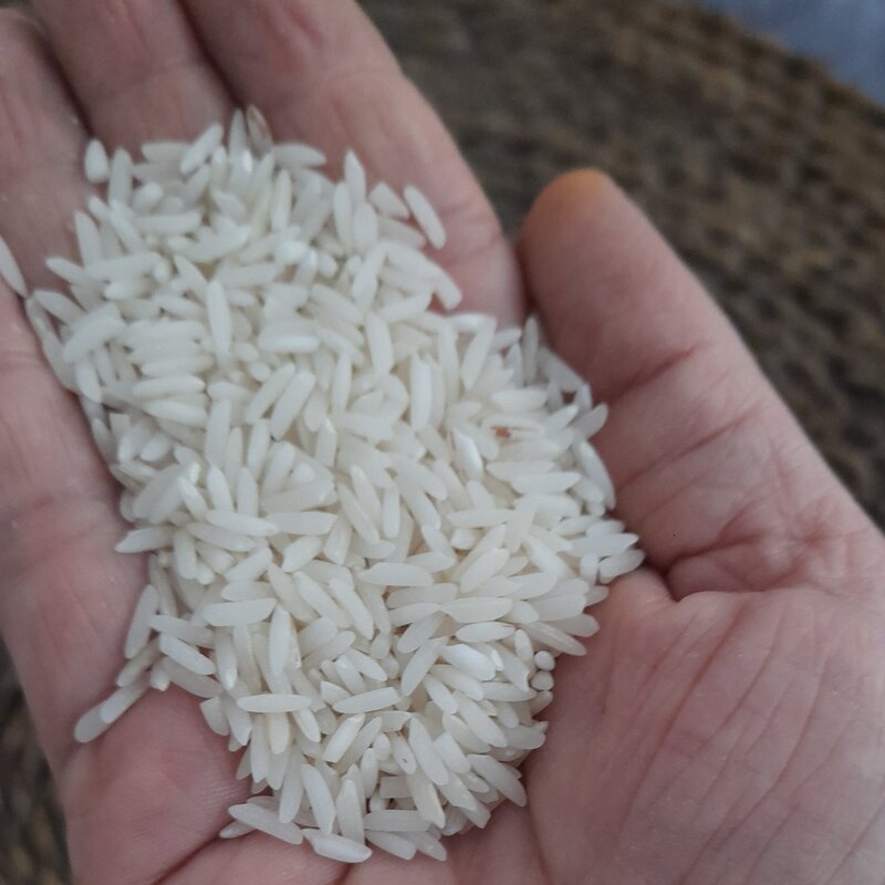 برنج هاشمی اصل گیلان ده کیلویی