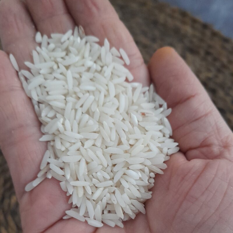 برنج هاشمی اصل گیلان ده کیلویی