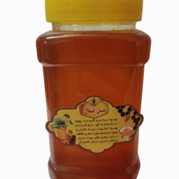 عسل قنقال طبیعی یک کیلویی خرید از زنبور دار ارسال رایگان در اصفهان