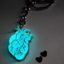 جاکلیدی قلب آناتومی شبتاب رزینی با قابلیت نوردهی در تاریکی