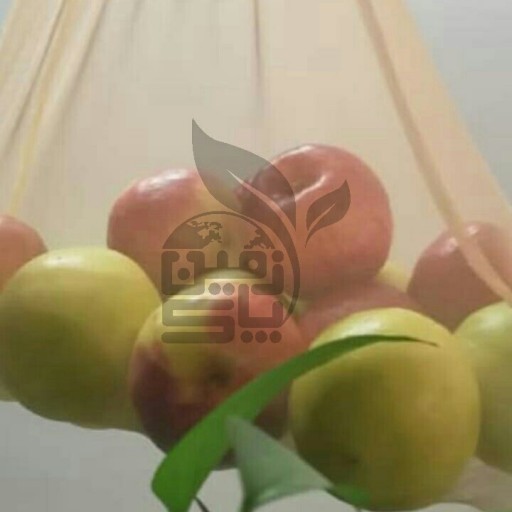 توری خرید طوسی سایز بزرگ - باسلام