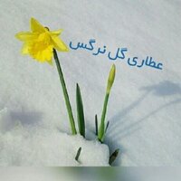 هاجرخجسته اشکلک