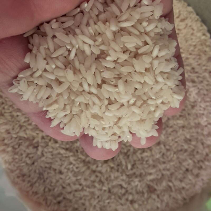 برنج عنبربو شوشتر کیسه 10 کیلویی هزینه ارسال با مشتری 