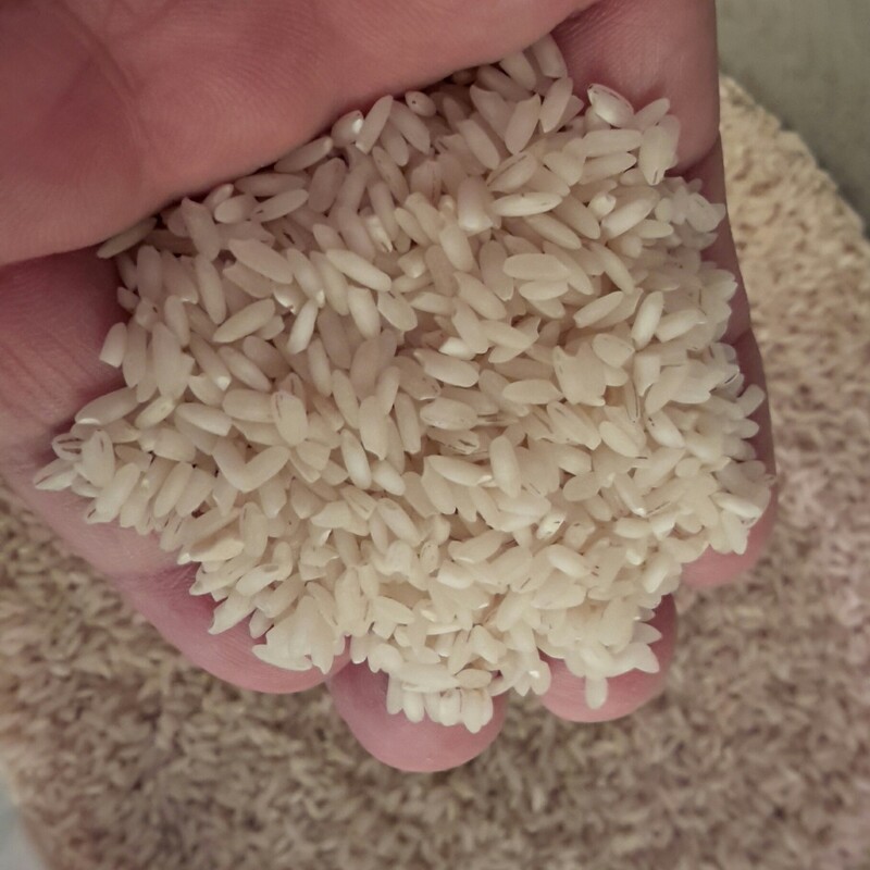 برنج  ایرانی عنبربو(10کیلویی)