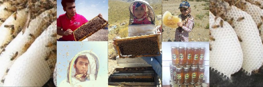 عسل سعادتی