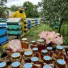 مزرعه عسل دُرّین