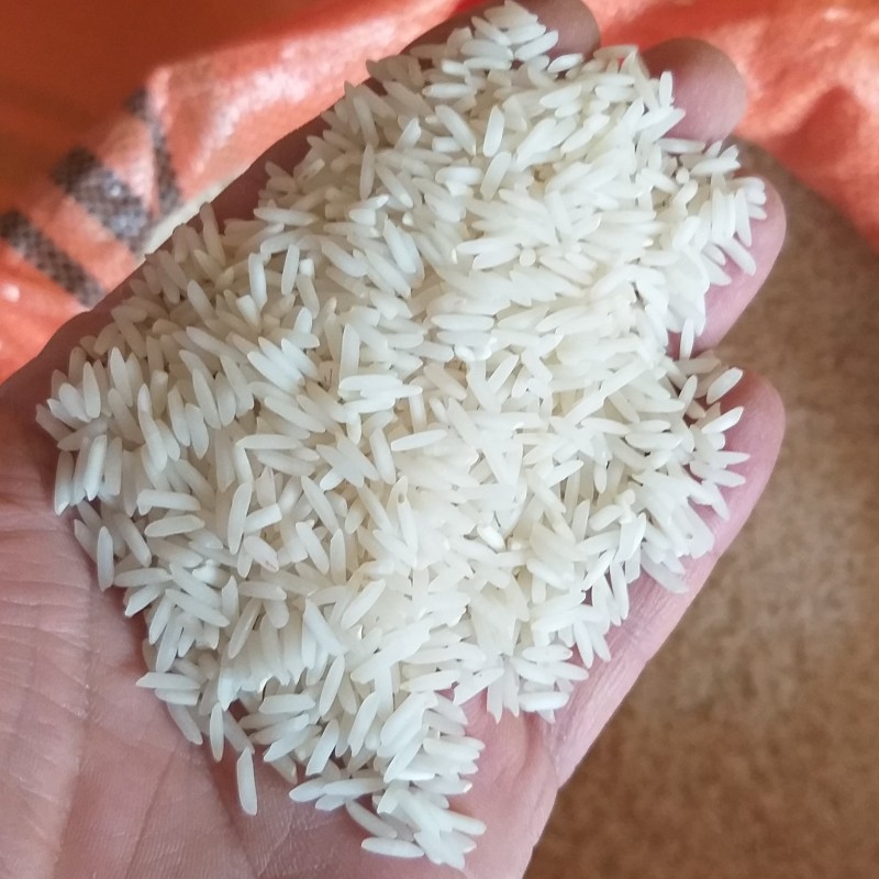 برنج ممتاز هاشمی صدری 