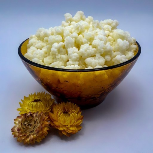 قارچ کفیر زنده (70 گرمی) - باسلام