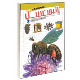 شگفتی های جهان؛ زنبور عسل نشر محراب قلم (13642)