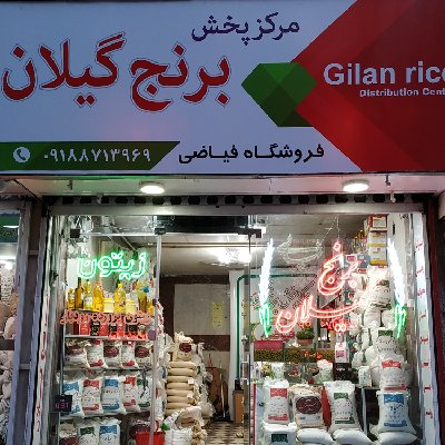 نیما فیاضی