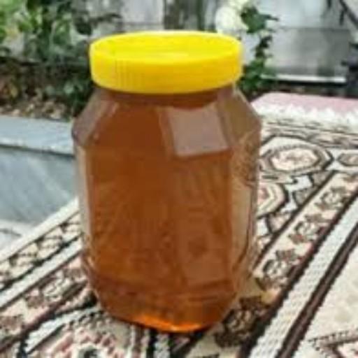 عسل چند گیاه شهد 1 کیلویی (عسل فروشی خزر)