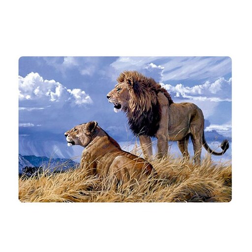 اسکین(برچسب) لپتاپ-طر ح شیر-سلطان جنگل(lion)-کد11-سفارشی