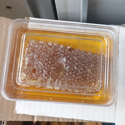 عسل با موم بسته بندی 500گرمی 