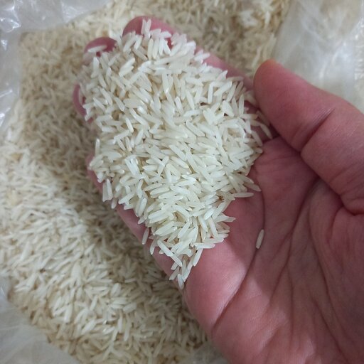 برنج دمسیاه شمشیری 