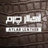 آیلار بهروزی