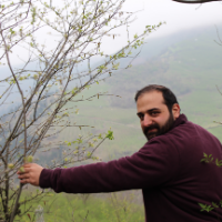 حمیدرضا تهرانی