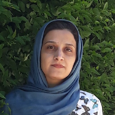گالری تاراا