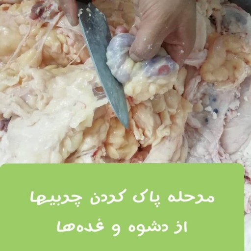 روغن شحم گاو ظرف 650 گرمی - باسلام