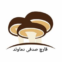 بهنام هادی