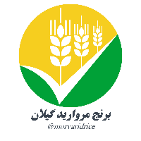 فروشگاه برنج مروارید گیلان