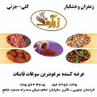 علی غلامزاده