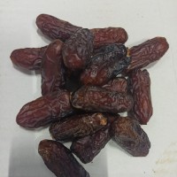 مهدی ناصری