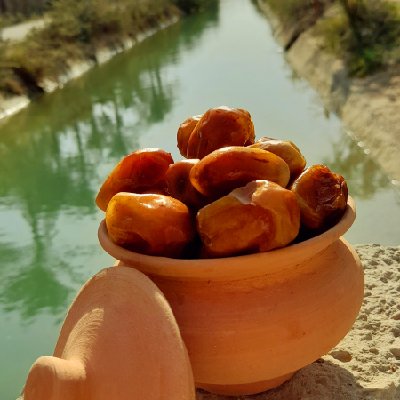 خرما کده جنوب🌴