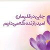 قاضی جهان مارکت