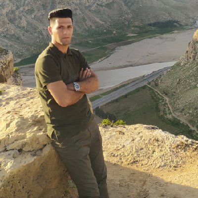 رضا یگانه