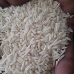 برنج طارم هاشمی شمال