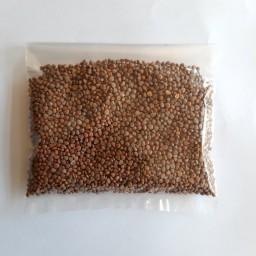بذر تربچه ساتبرگ ( 50 گرم )
