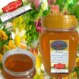 عسل چندگیاه نسل سالم
