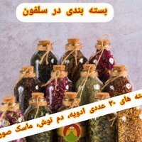 لیلا نیک رو