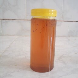عسل طبیعی چهل گیاه یک کیلویی (مستقیم از زنبوردار )