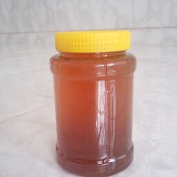 عسل گلرنگ بسیار خوش مزه در وزن یک کیلویی (مستقیم از زنبوردار)