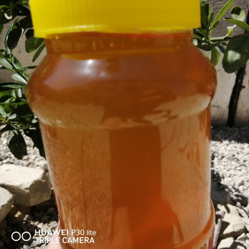عسل طبیعی چهل گیاه (آویشن وگون) ساکارز زیر 2.29 یک کیلویی