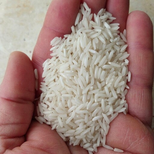 برنج پر محصول هاشمی ( مختار هاشمی) 20 کیلویی ضیابر