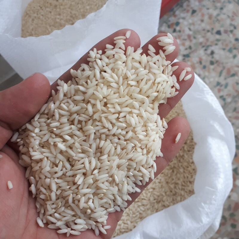 برنج عنبربو زعفرانی