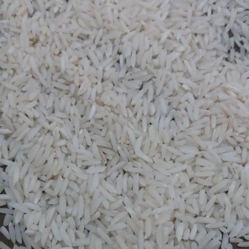 برنج طارم هاشمی مازند مزرعه (3 کیلوگرم)