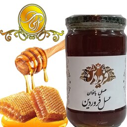 عسل  ترکیبی  بانوان صادراتی خام وخاص 850گرمی ساکارز1.7رفع کم خونی و تقویت جسمانی و رفع درد های مخصوص بانوان