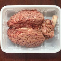 مغز گوساله تازه وسالم کشتارروز بسته بندی بهداشتی ومطمئن ارسال بصورت پس کرایه