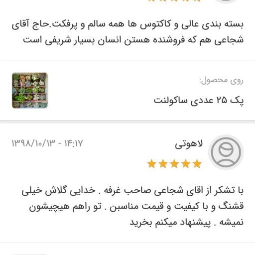 پک 25 عددی ساکولنت - باسلام
