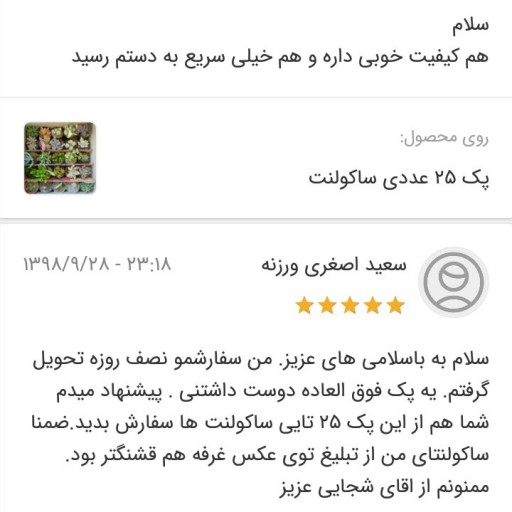 پک 25 عددی ساکولنت - باسلام