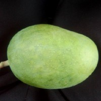 امین داوری