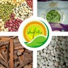 برکات آسمانی
