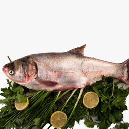 ماهی آزاد یا فیتو فاک (ارسال رایگان)حداقل مقدار ارسال رایگان 5 کیلو گرم.
حداقل سفارش محصول 3 کیلو.